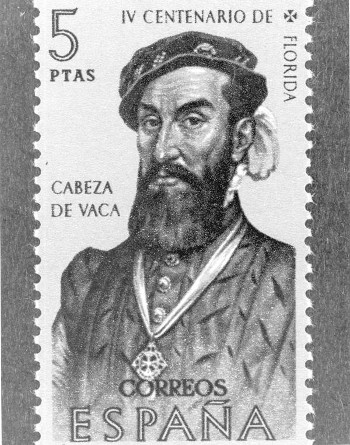 cabeza de vaca