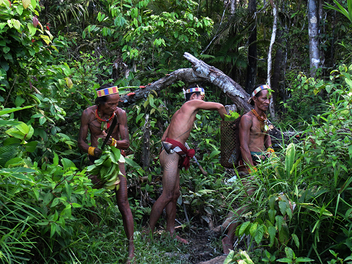 En la jungla con la tribu mentawai