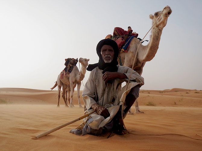 camellos-desierto-nomadas