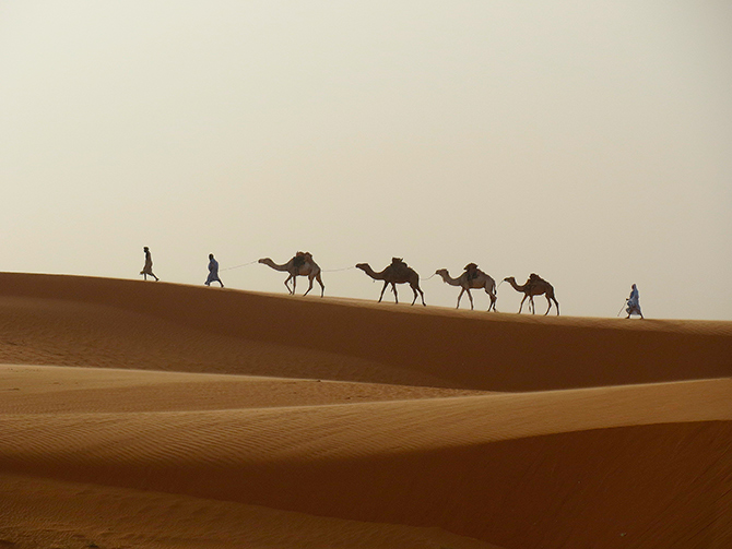sahara-desierto-beduinos-camellos